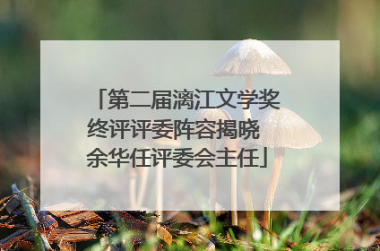 第二届漓江文学奖终评评委阵容揭晓 余华任评委会主任