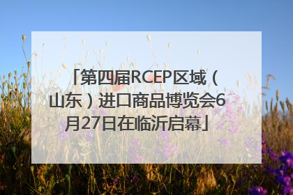 第四届RCEP区域（山东）进口商品博览会6月27日在临沂启幕
