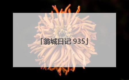 翁城日记 935