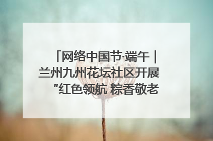 网络中国节·端午｜兰州九州花坛社区开展“红色领航 粽香敬老”端午主题活动