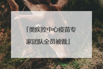 美疾控中心疫苗专家团队全员被裁