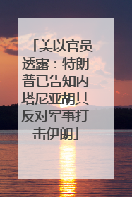 美以官员透露：特朗普已告知内塔尼亚胡其反对军事打击伊朗