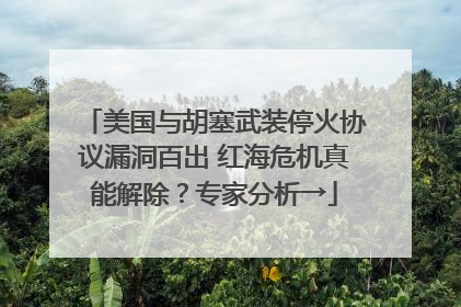 美国与胡塞武装停火协议漏洞百出 红海危机真能解除？专家分析→