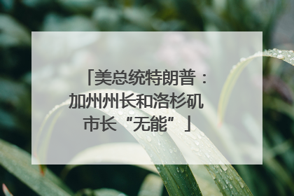美总统特朗普：加州州长和洛杉矶市长“无能”