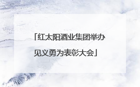 红太阳酒业集团举办见义勇为表彰大会