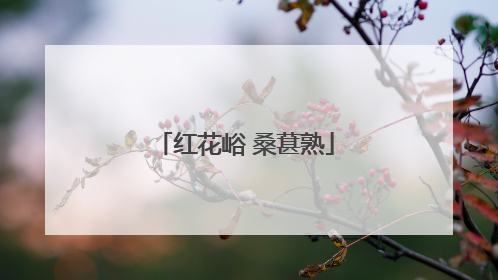 红花峪 桑葚熟