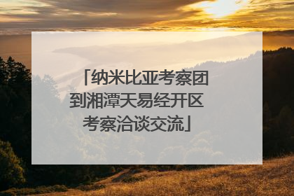纳米比亚考察团到湘潭天易经开区考察洽谈交流