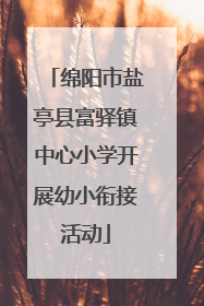 绵阳市盐亭县富驿镇中心小学开展幼小衔接活动