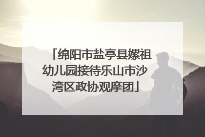 绵阳市盐亭县嫘祖幼儿园接待乐山市沙湾区政协观摩团