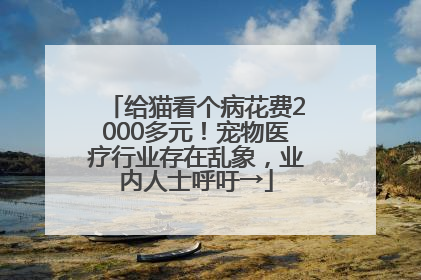 给猫看个病花费2000多元！宠物医疗行业存在乱象，业内人士呼吁→