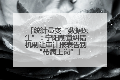 统计员变“数据医生”：宁阳前置纠错机制让审计报表告别“带病上岗”