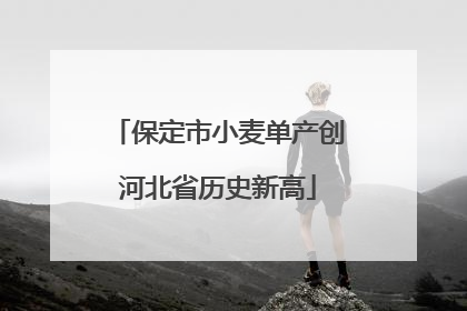 保定市小麦单产创河北省历史新高