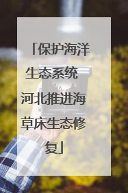 保护海洋生态系统 河北推进海草床生态修复