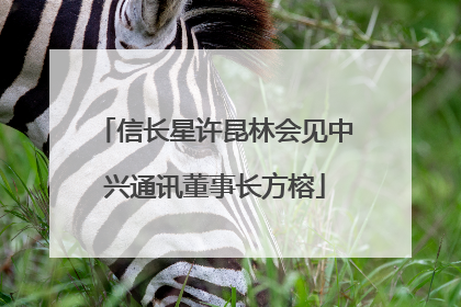 信长星许昆林会见中兴通讯董事长方榕
