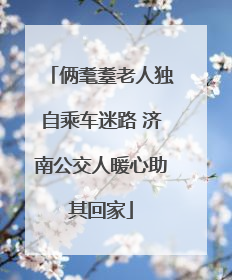 俩耄耋老人独自乘车迷路 济南公交人暖心助其回家