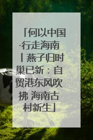 何以中国·行走海南丨燕子归时巢已新：自贸港东风吹拂 海南古村新生