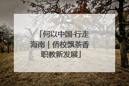 何以中国·行走海南｜侨校飘茶香 职教新发展