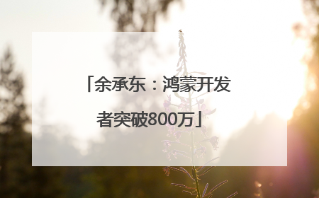 余承东：鸿蒙开发者突破800万