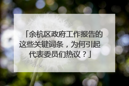 余杭区政府工作报告的这些关键词条，为何引起代表委员们热议？