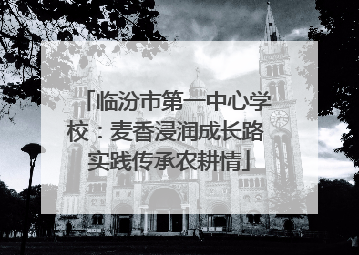 临汾市第一中心学校：麦香浸润成长路 实践传承农耕情