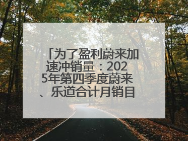 为了盈利蔚来加速冲销量：2025年第四季度蔚来、乐道合计月销目标达5万辆