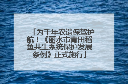 为千年农遗保驾护航！《丽水市青田稻鱼共生系统保护发展条例》正式施行