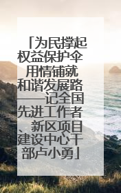 为民撑起权益保护伞 用情铺就和谐发展路——记全国先进工作者、新区项目建设中心干部卢小勇