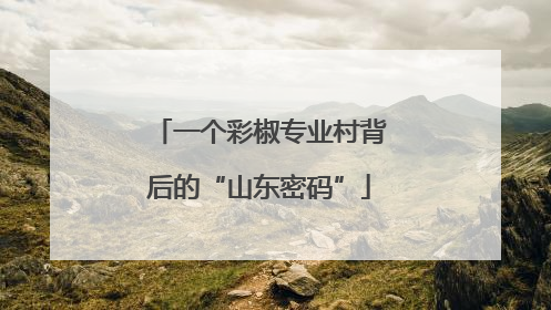 一个彩椒专业村背后的“山东密码”