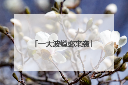 一大波螳螂来袭