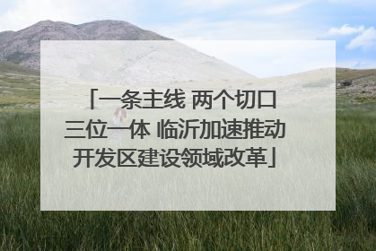 一条主线 两个切口 三位一体 临沂加速推动开发区建设领域改革