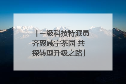 三级科技特派员齐聚咸宁茶园 共探转型升级之路