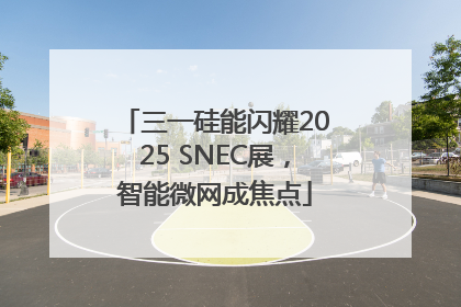 三一硅能闪耀2025 SNEC展，智能微网成焦点