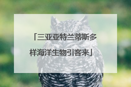 三亚亚特兰蒂斯多样海洋生物引客来