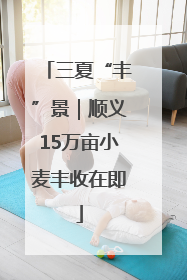 三夏“丰”景｜顺义15万亩小麦丰收在即