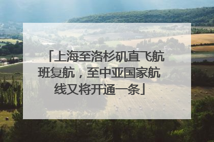 上海至洛杉矶直飞航班复航，至中亚国家航线又将开通一条