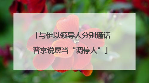 与伊以领导人分别通话 普京说愿当“调停人”