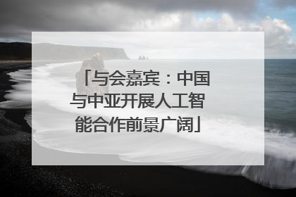 与会嘉宾：中国与中亚开展人工智能合作前景广阔