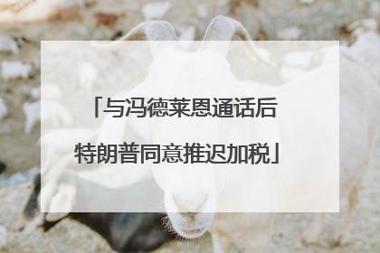 与冯德莱恩通话后 特朗普同意推迟加税