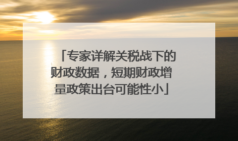 专家详解关税战下的财政数据，短期财政增量政策出台可能性小