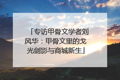 专访甲骨文学者刘风华：甲骨文里的戈光剑影与商城新生