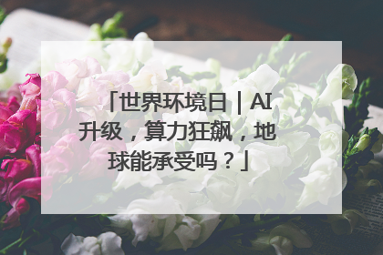世界环境日｜AI升级，算力狂飙，地球能承受吗？