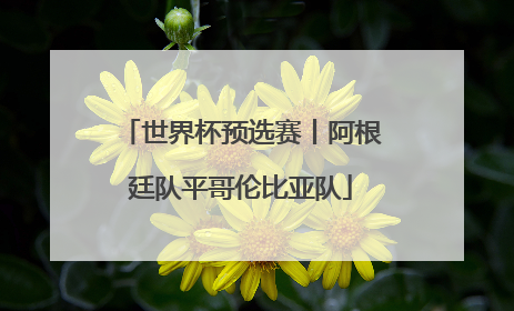 世界杯预选赛丨阿根廷队平哥伦比亚队