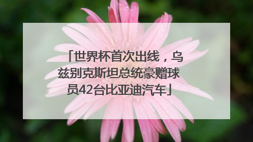 世界杯首次出线，乌兹别克斯坦总统豪赠球员42台比亚迪汽车