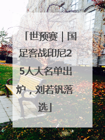 世预赛｜国足客战印尼25人大名单出炉，刘若钒落选