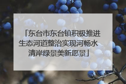 东台市东台镇积极推进生态河道整治实现河畅水清岸绿景美新愿景