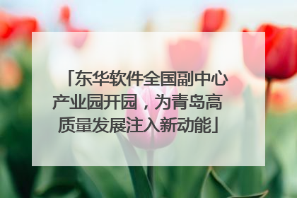 东华软件全国副中心产业园开园，为青岛高质量发展注入新动能