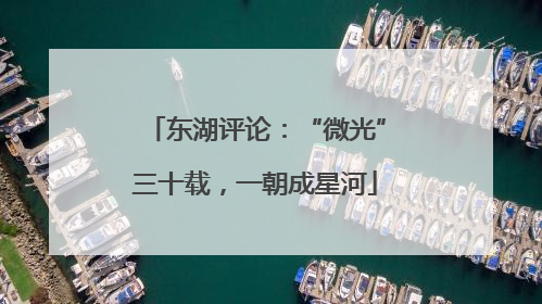 东湖评论：“微光”三十载，一朝成星河