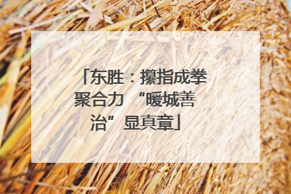 东胜：攥指成拳聚合力 “暖城善治”显真章