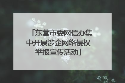 东营市委网信办集中开展涉企网络侵权举报宣传活动