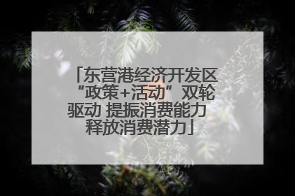 东营港经济开发区“政策+活动”双轮驱动 提振消费能力 释放消费潜力